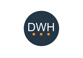 DWH Consulting