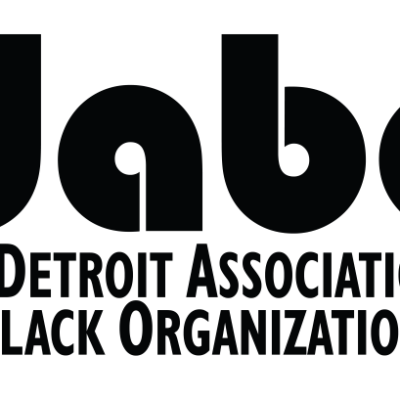 The Detroit Association of Black Organizations