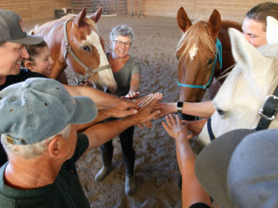 Equine-Assisted Therapy and Mentorship: A Transformative Approach for Empowerment