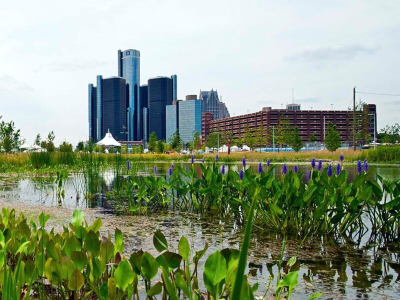 Shaping Detroit's Future: An Exploration of Equitable Development and Sustainability Initiatives